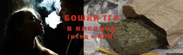 прущие грибы Верея