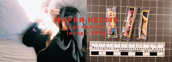 прущие грибы Верея