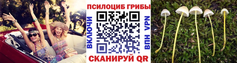 дарнет шоп Миасс Галлюциногенные грибы MAGIC MUSHROOMS